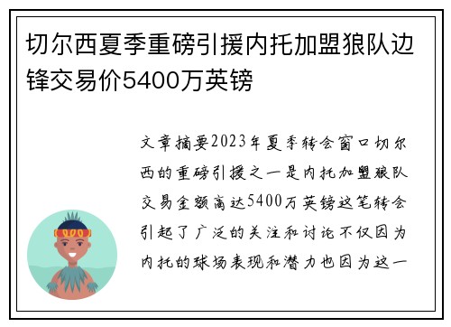 切尔西夏季重磅引援内托加盟狼队边锋交易价5400万英镑